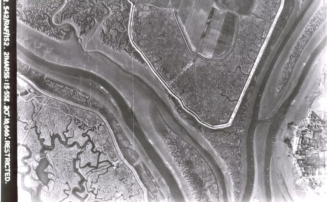 ZSL | Tidal Thames Project